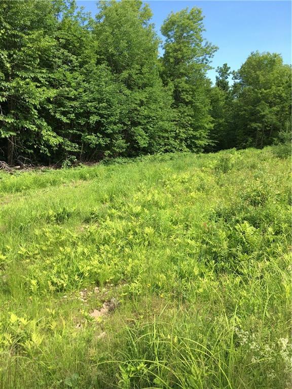 61 Scammon Road Phillips, ME 04966 - Photo 9 of 12 Field area.