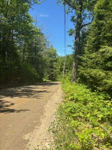 Lot 2 Brown Road Liberty, ME 04949 - Photo 3 of 5 View from Road
