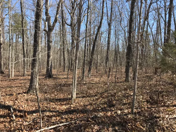 $56,900 | 3 Deerhead Road, Unit 3, Dunlap, TN 37327