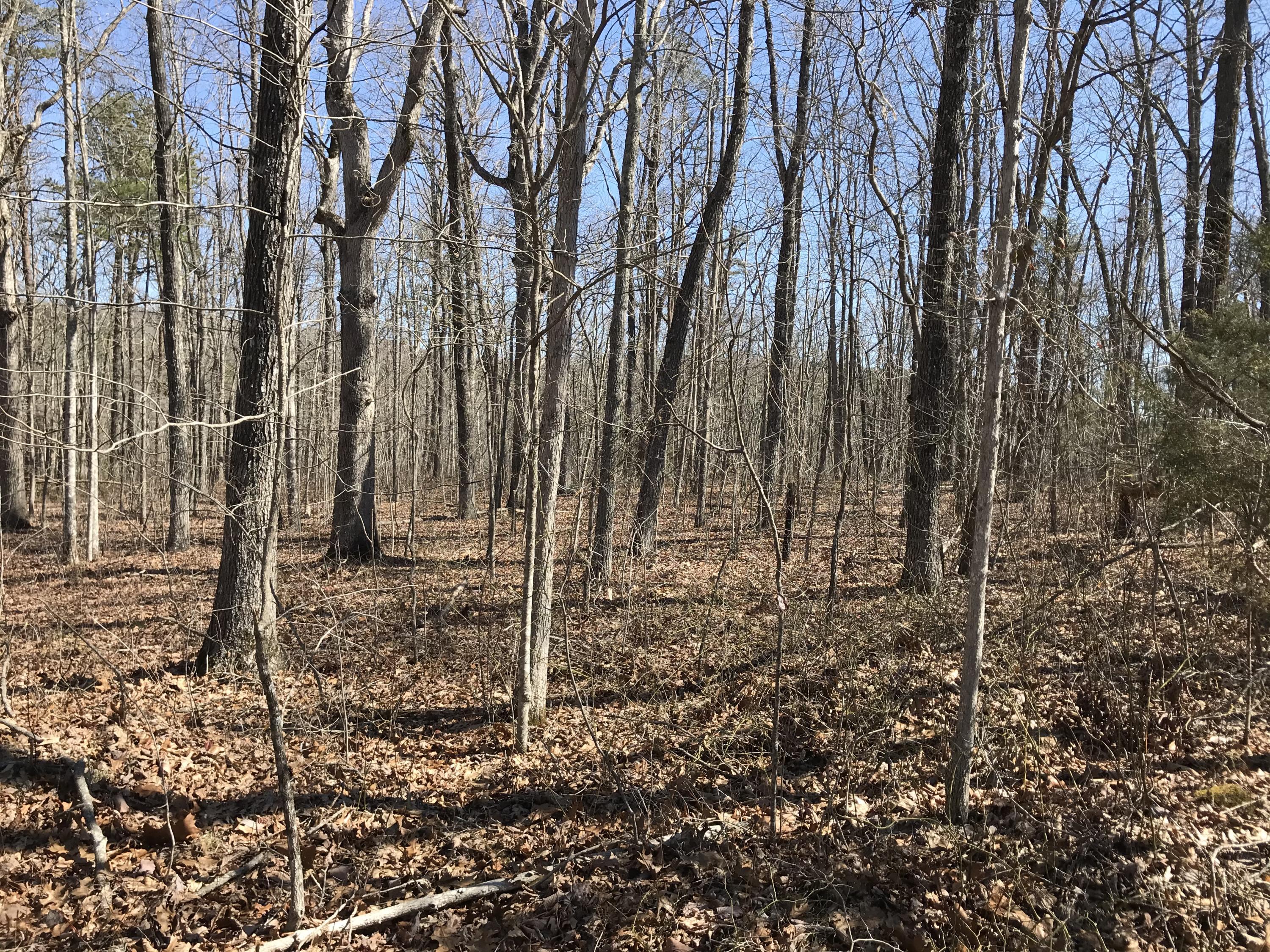 38BA1891-0BC0-4E5F-A2D3-19B3C8393F1E