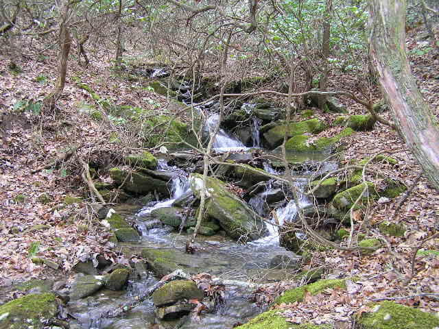 3 Deerhead Road, Unit 3 Dunlap, TN 37327 - Photo 13 of 22 Lewis 014 - Copy