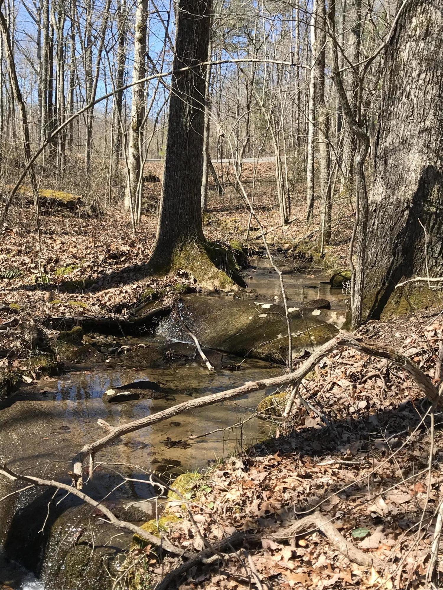 3 Deerhead Road, Unit 3 Dunlap, TN 37327 - Photo 15 of 22 FE33B534-7448-4AB4-86C9-C47A3427A6C3