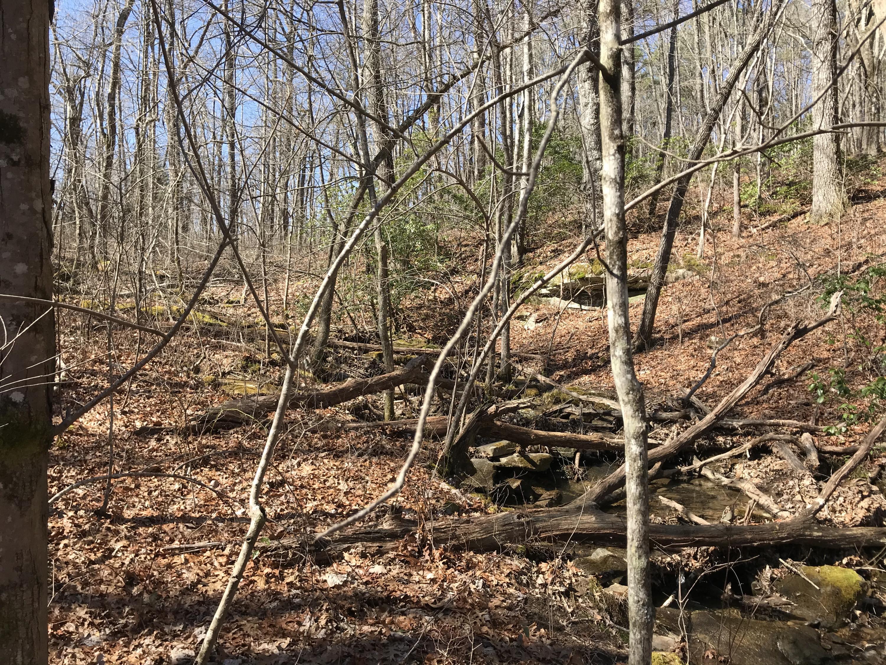 3 Deerhead Road, Unit 3 Dunlap, TN 37327 - Photo 19 of 22 47B7D941-69D0-4176-8A6F-D328049B37C2