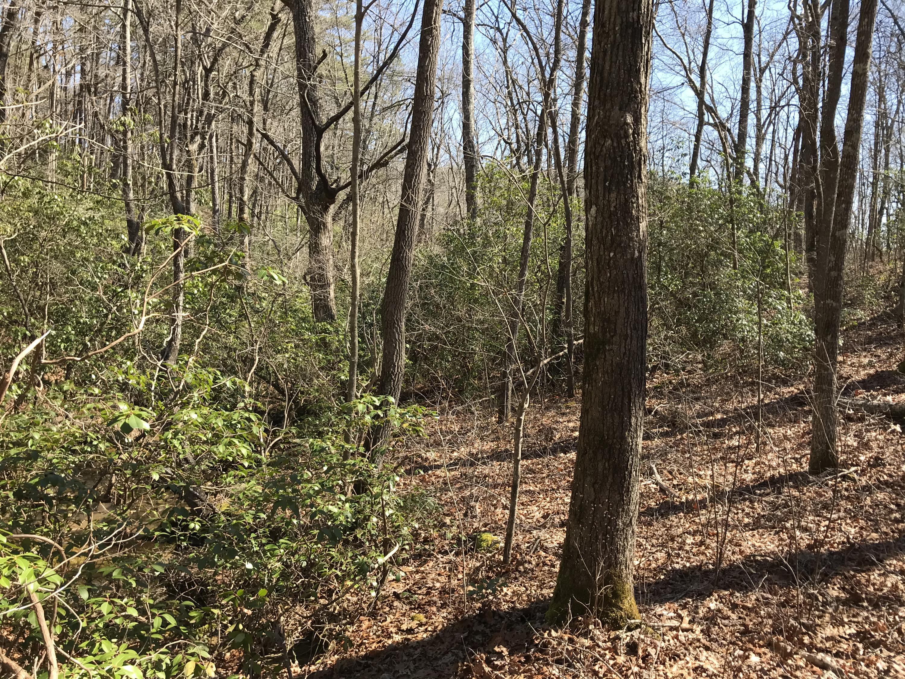 3 Deerhead Road, Unit 3 Dunlap, TN 37327 - Photo 4 of 22 63373FA7-53C5-458C-B59A-2B364E61451D