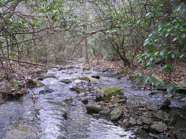 3 Deerhead Road, Unit 3 Dunlap, TN 37327 - Photo 5 of 22 Lewis 009