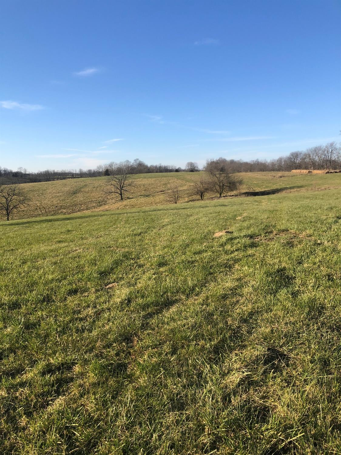 3001 Maysville Road Carlisle, KY 40311 - Photo 11 of 43 Photo 11