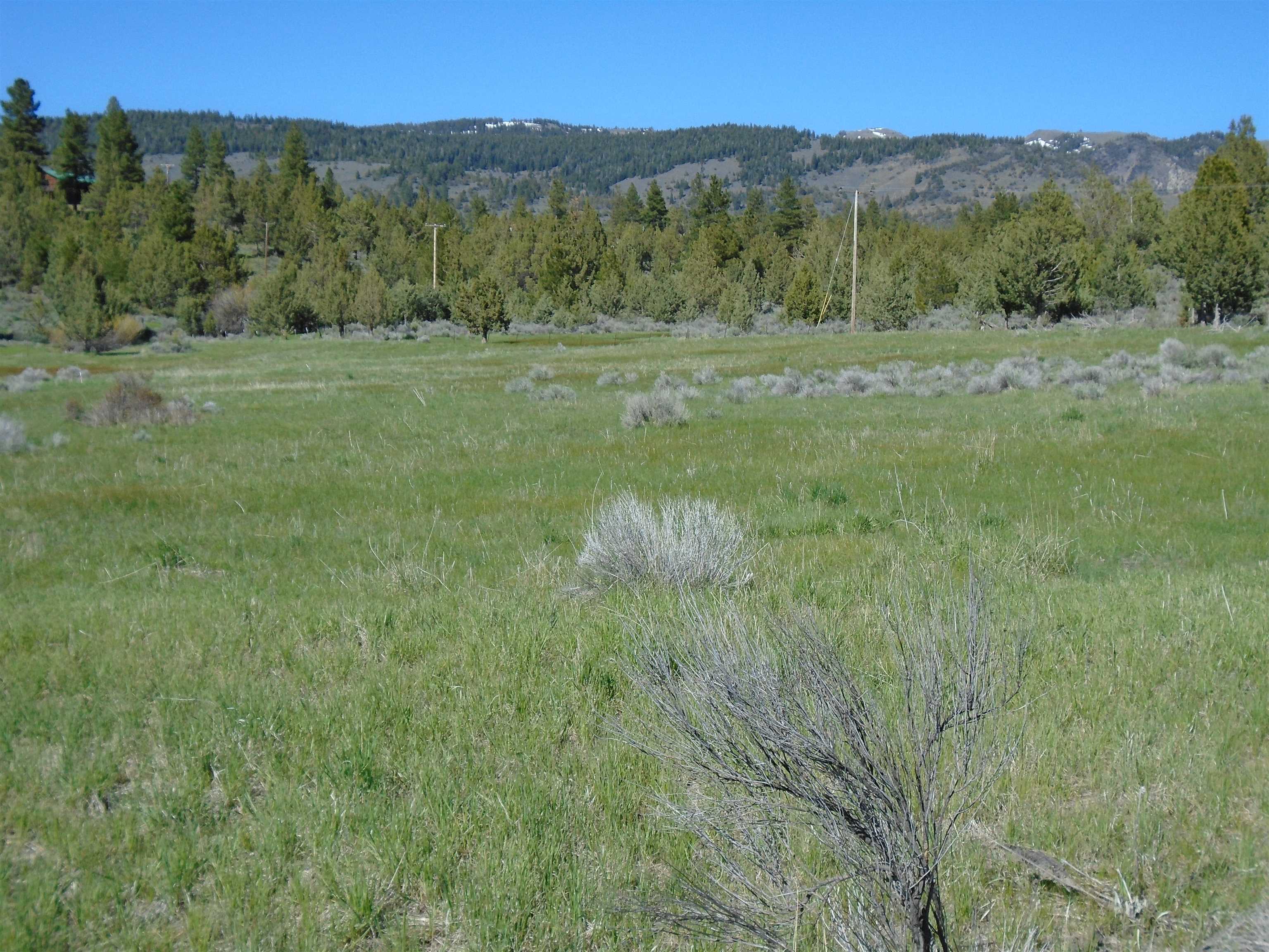 0 Mckenney Road Alturas, CA 96101 - Photo 4 of 8