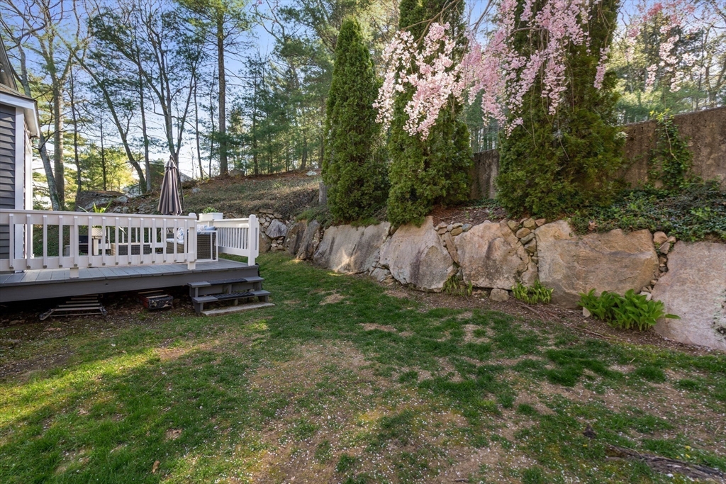 11 Eastmount Road Medfield, MA 02052 - Photo 30 of 37 Gallery Image 30