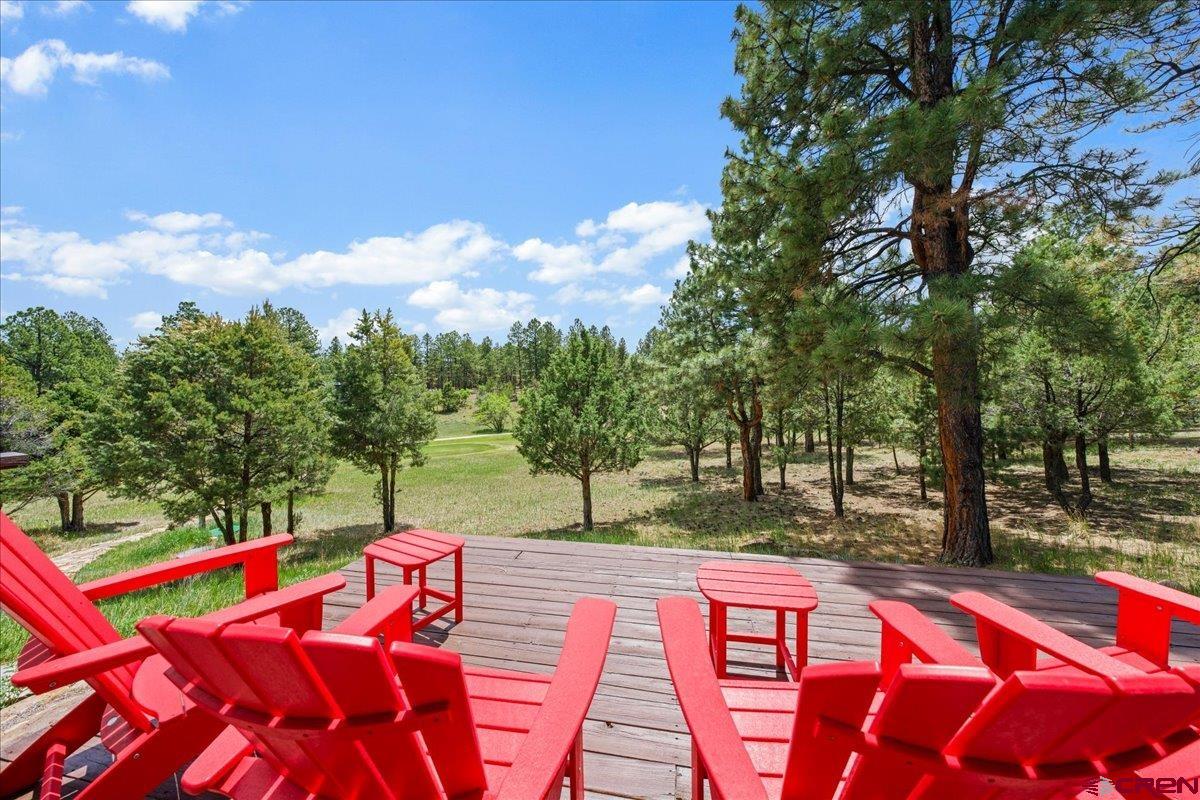 412 South Badger Trail Ridgway, CO 81432 - Photo 38 of 45