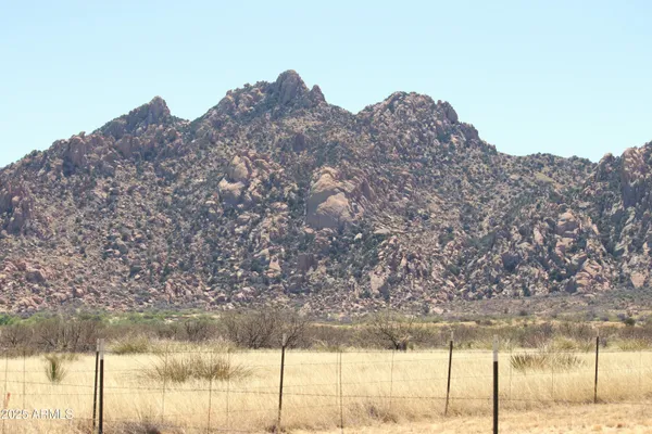 a view of a dry yard