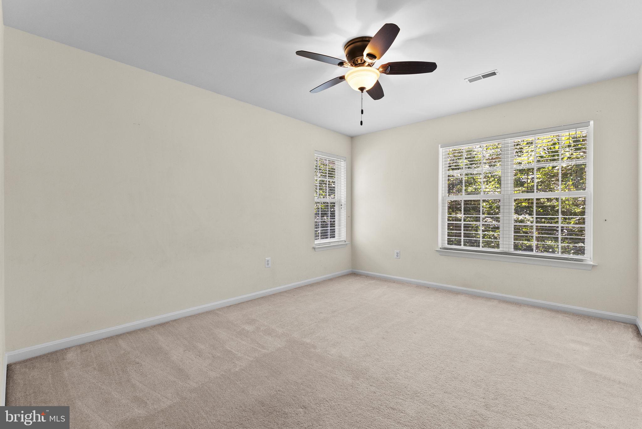 10275 Mountain Run Lake Road Culpeper, VA 22701 - Photo 58 of 89