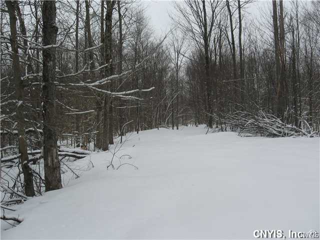 Na Cc Road Williamstown, NY 13493 - Photo 1 of 1 Other Access road