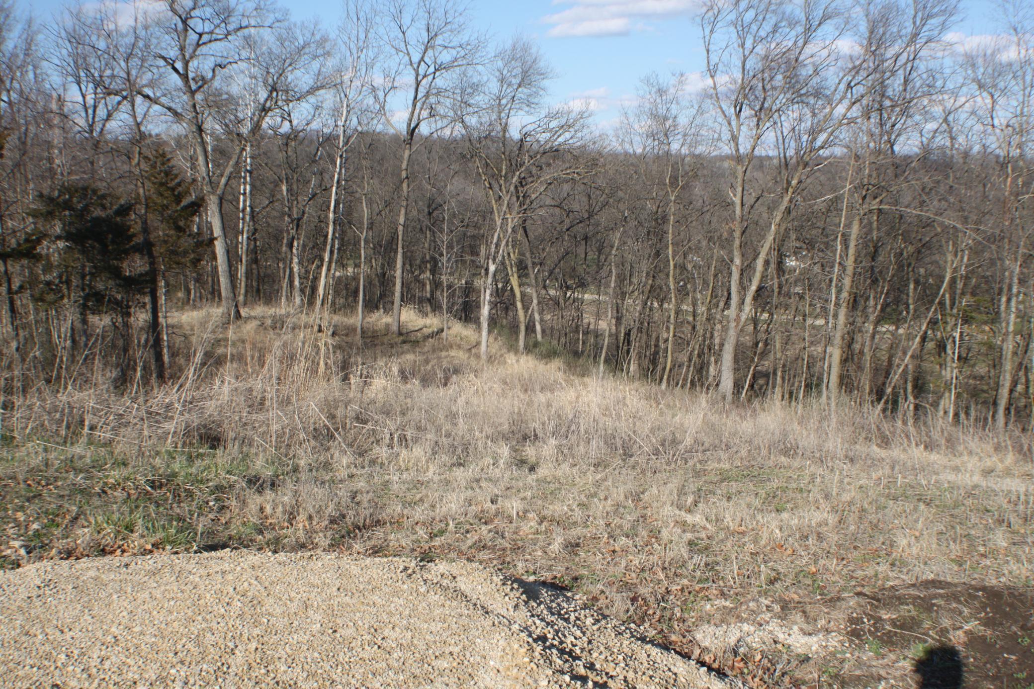 Xxxxc Kings Park Road Northwest Oronoco, MN 55960 - Photo 4 of 8