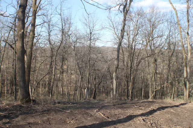 $99,900 | Xxxxc Kings Park Road Northwest, Oronoco, MN 55960