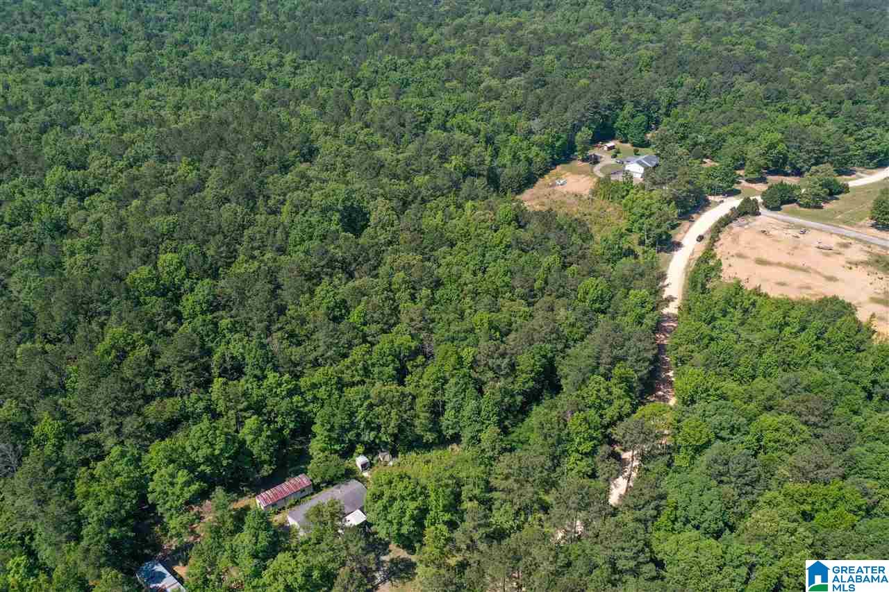 948 Old Deer Creek Road Sterrett, AL 35147 - Photo 18 of 19