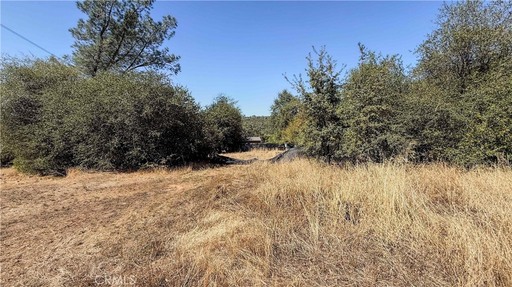 16125 Vierra Road Rackerby, CA 95972 - Photo 35 of 43 Gallery Image 35