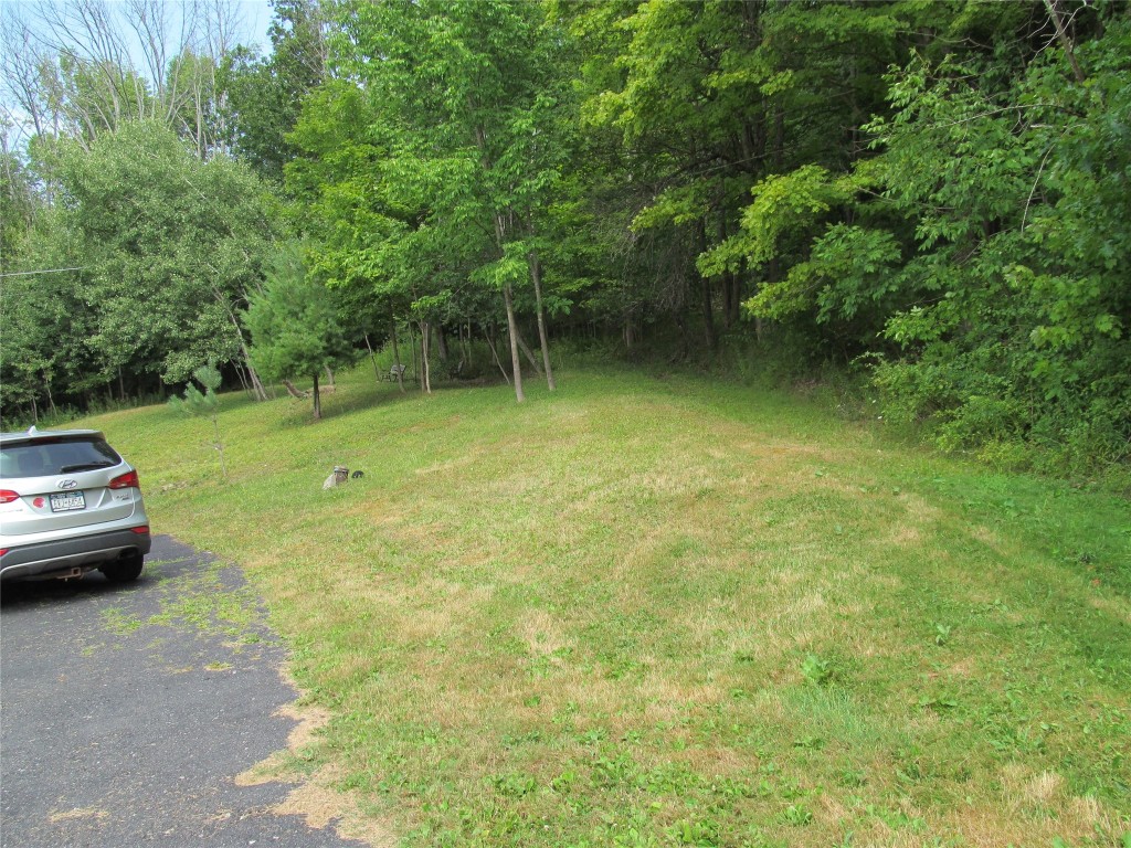 101 Palmer Hill Road Port Crane, NY 13833 - Photo 15 of 18