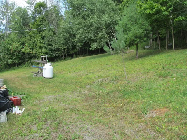 $199,000 | 101 Palmer Hill Road, Port Crane, NY 13833