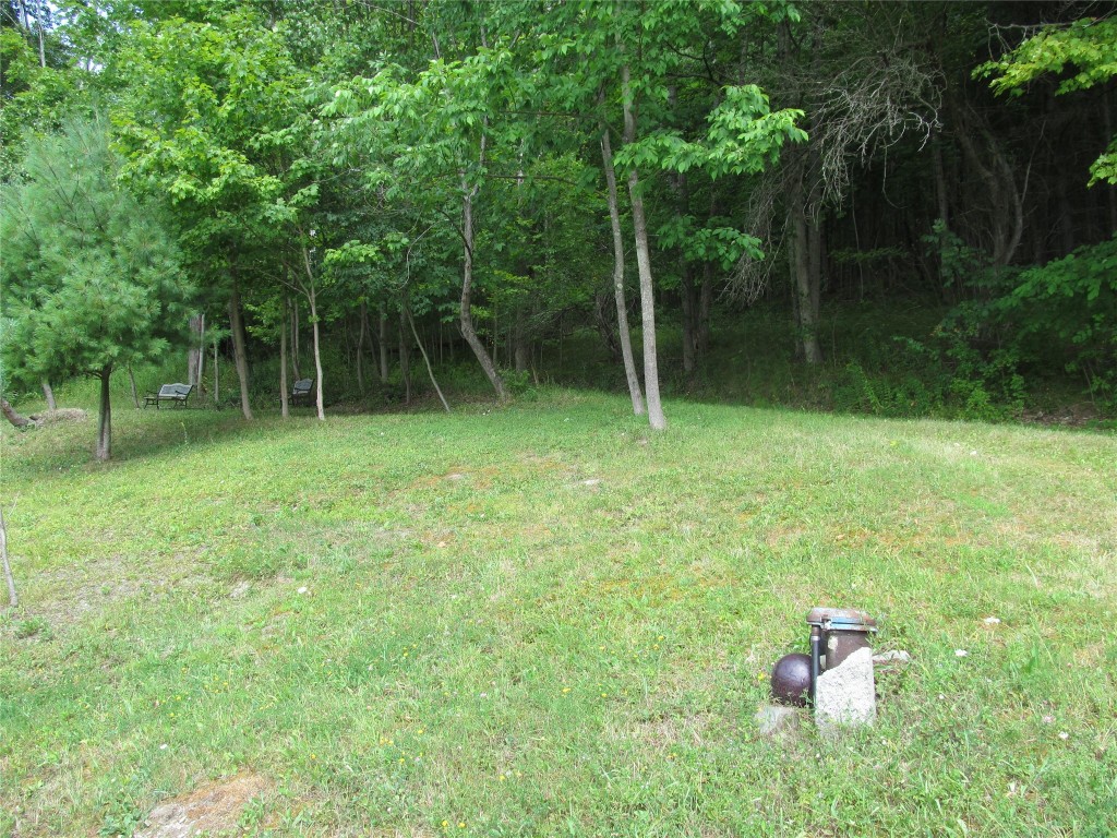 101 Palmer Hill Road Port Crane, NY 13833 - Photo 18 of 18