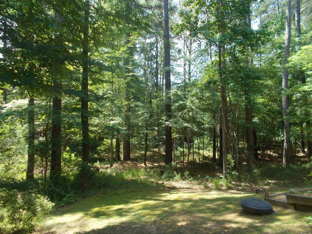 209 Sandpiper Loop McCormick, SC 29835 - Photo 9 of 31 Gallery Image 9
