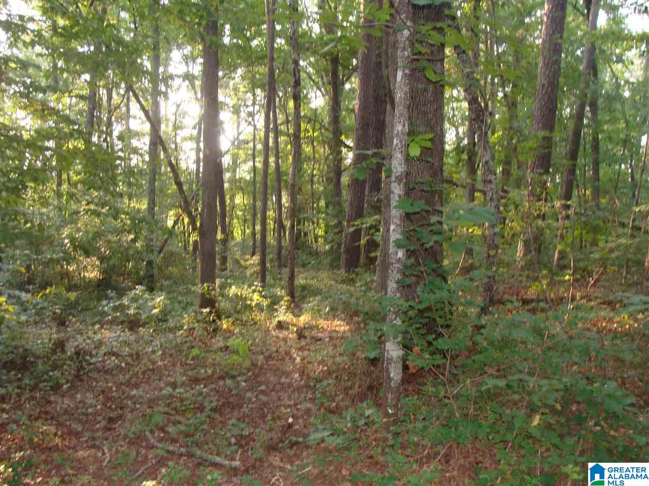 2873 Warrior Jasper Road, Unit ONE Warrior, AL 35180 - Photo 7 of 10