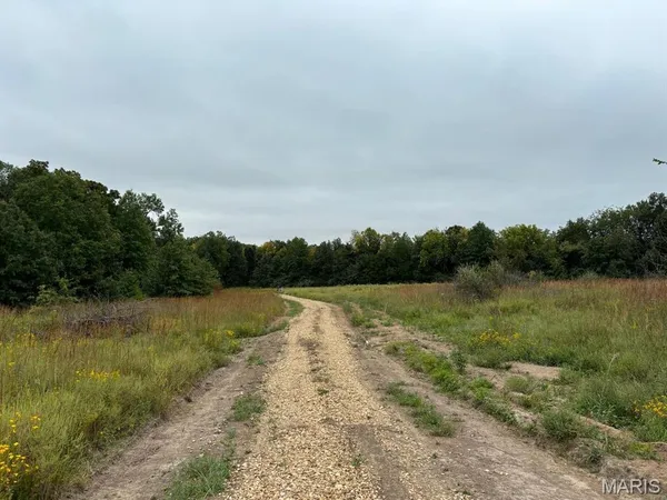 $69,900 | 21 Halyon Road, Perry, MO 63462