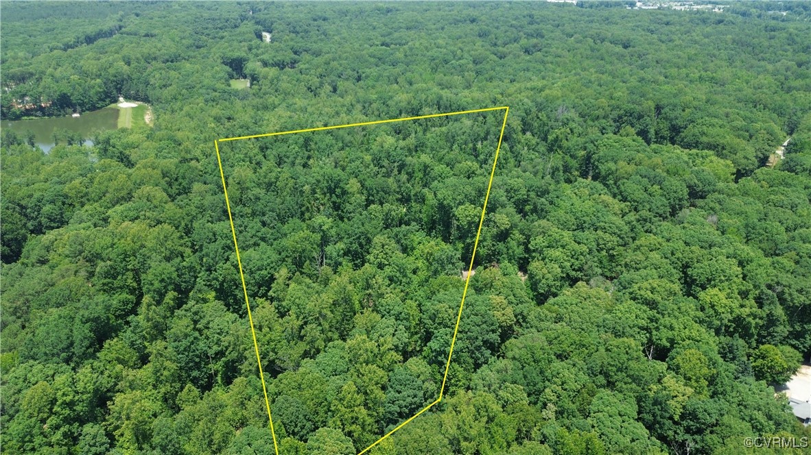 a view of a lush green forest with a street