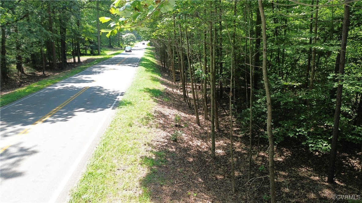0 Stavemill Road Powhatan, VA 23139 - Photo 12 of 17 a view of a yard with plants and large trees