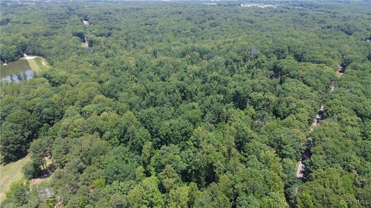 0 Stavemill Road Powhatan, VA 23139 - Photo 13 of 17 a view of a forest with a street