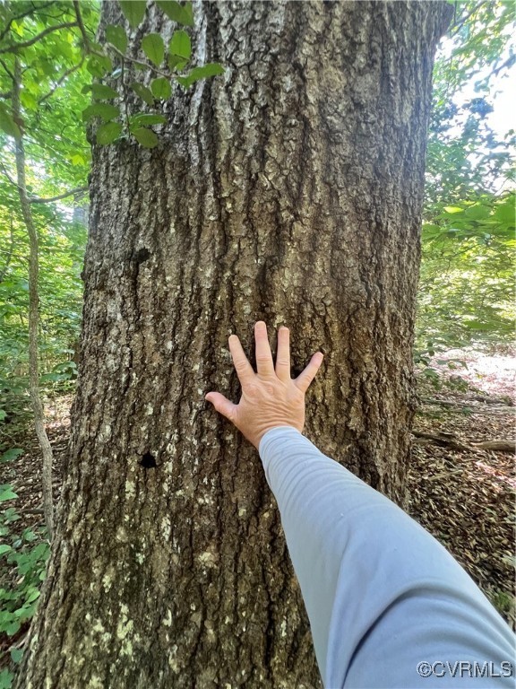 0 Stavemill Road Powhatan, VA 23139 - Photo 16 of 17 a view of a balcony with chair