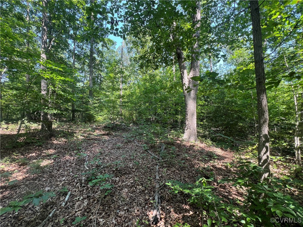 0 Stavemill Road Powhatan, VA 23139 - Photo 17 of 17 a view of a forest with trees in front of it