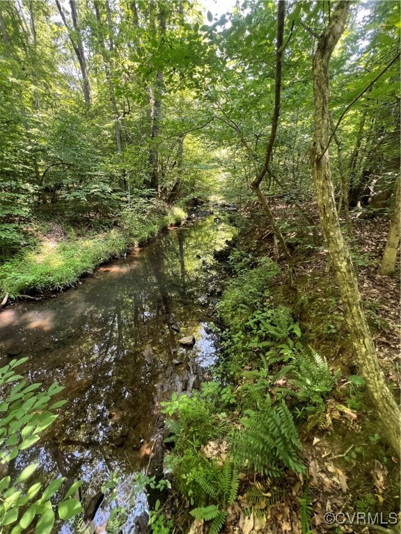0 Stavemill Road Powhatan, VA 23139 - Photo 3 of 17 a view of a forest with a tree