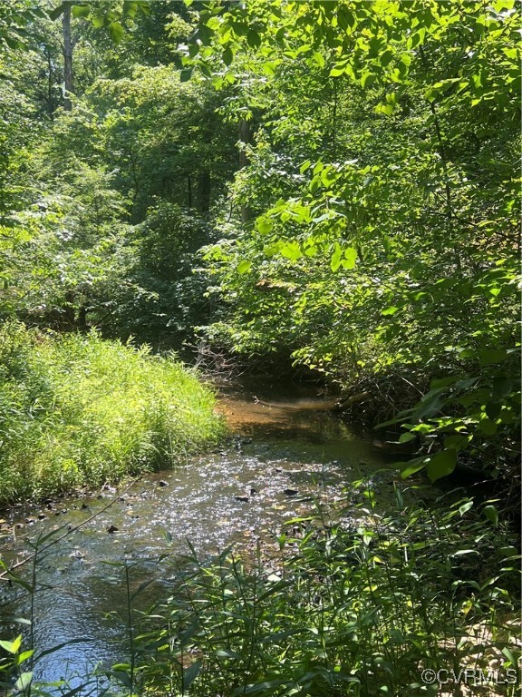 0 Stavemill Road Powhatan, VA 23139 - Photo 4 of 17