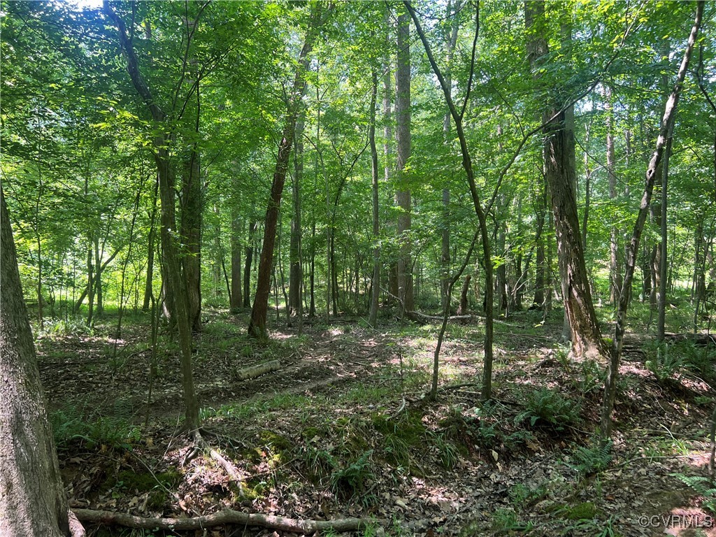 0 Stavemill Road Powhatan, VA 23139 - Photo 5 of 17 a green field with lots of trees