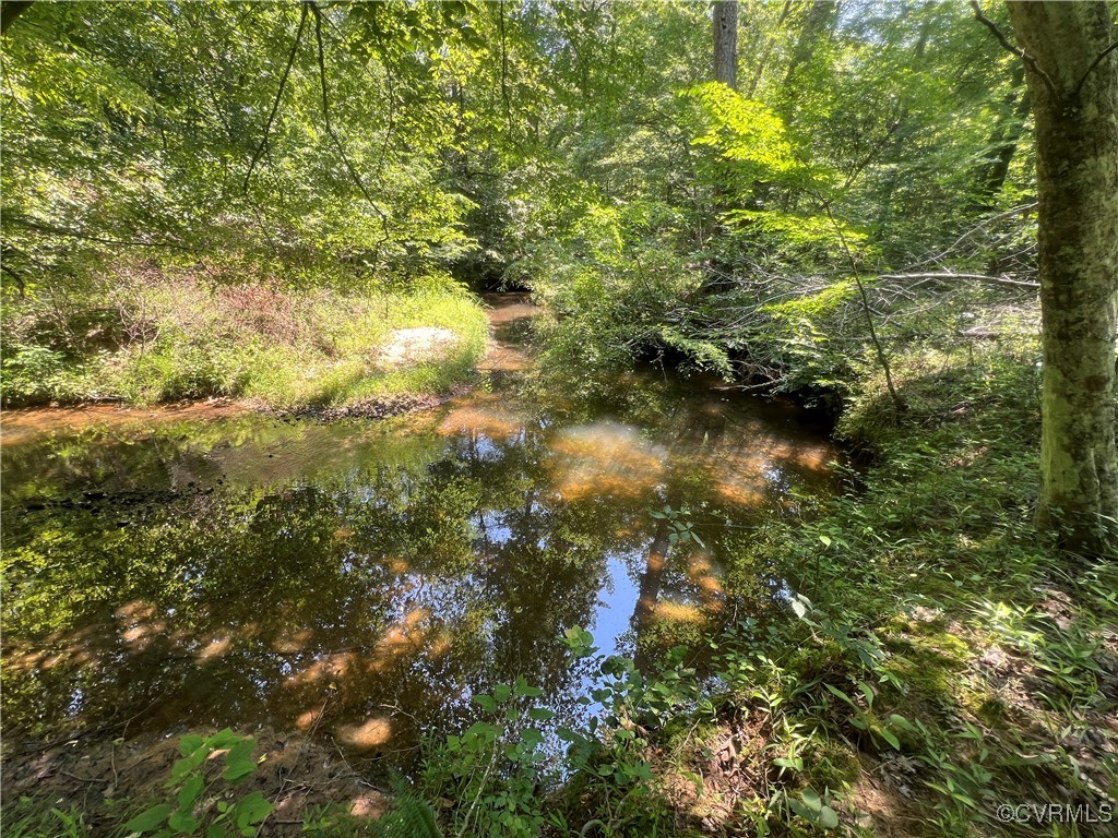 0 Stavemill Road Powhatan, VA 23139 - Photo 6 of 17 a view of a yard