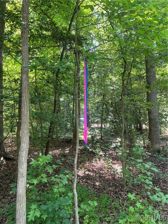 0 Stavemill Road Powhatan, VA 23139 - Photo 7 of 17 a flag is sitting in the middle of garden