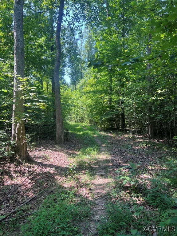 0 Stavemill Road Powhatan, VA 23139 - Photo 8 of 17 a view of a tree in a yard