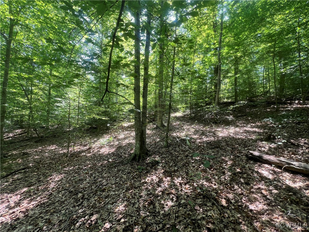 0 Stavemill Road Powhatan, VA 23139 - Photo 10 of 17 a big yard with lots of green space and fog