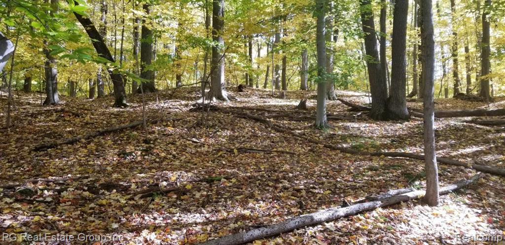 0 Charitoo Ridge Leonard, MI 48367 - Photo 32 of 34