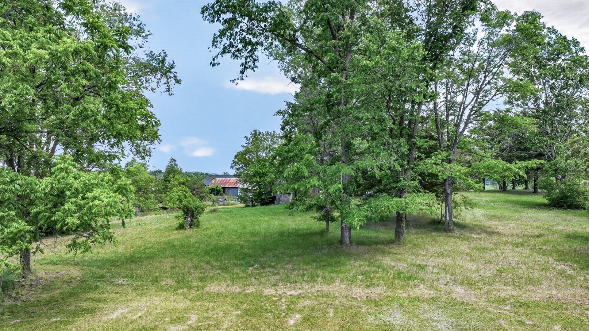 W10104 County Rd O Black River Falls, WI 54615 - Photo 41 of 44