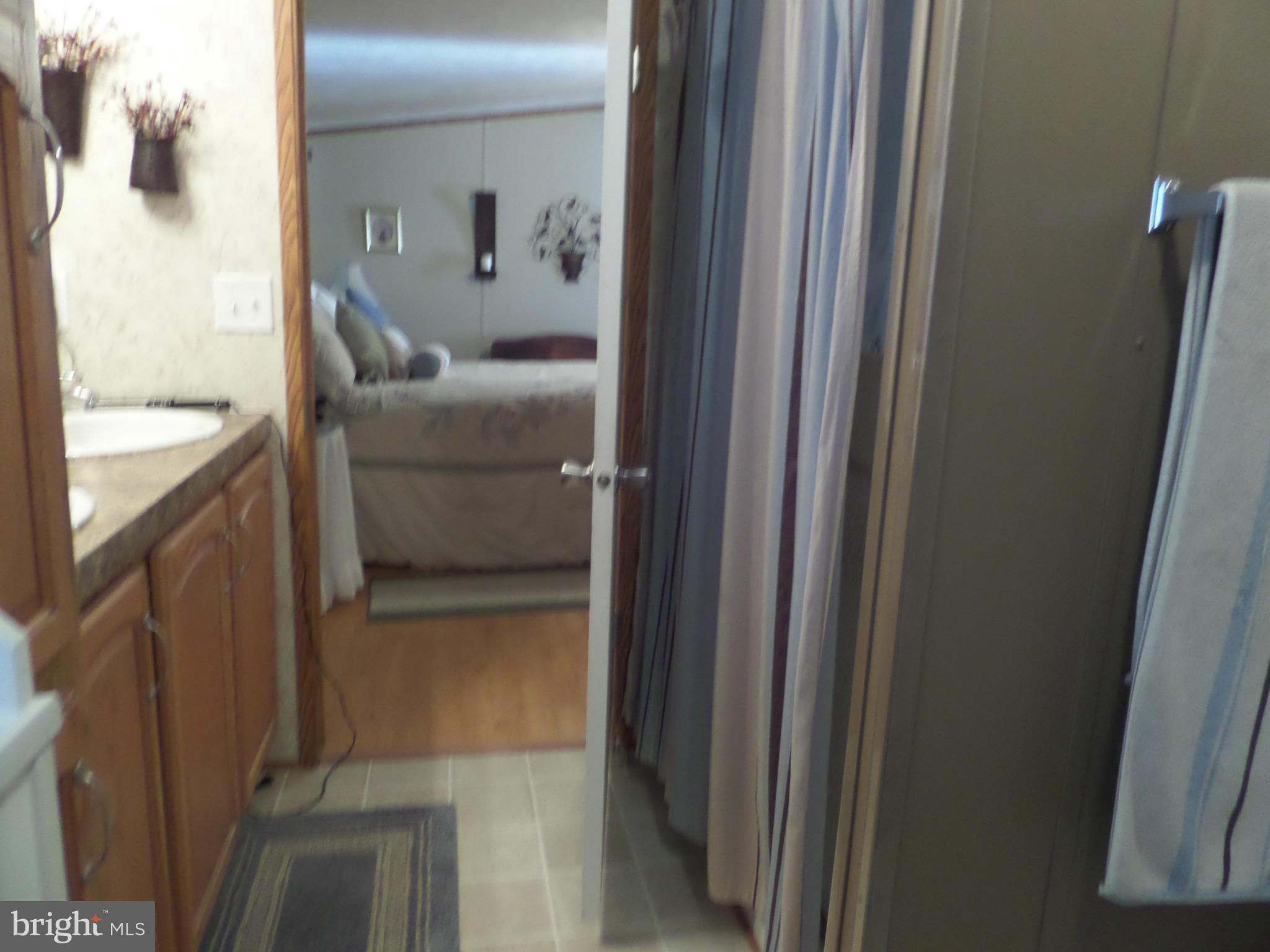 312 Runnymeade Road Bunker Hill, WV 25413 - Photo 20 of 30 Bath (Master)