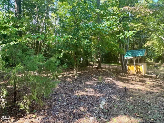a view of a yard with plants and trees