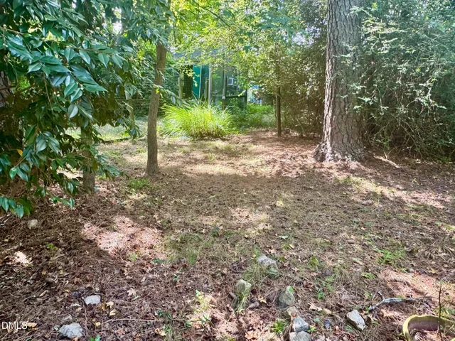 a view of a forest with trees