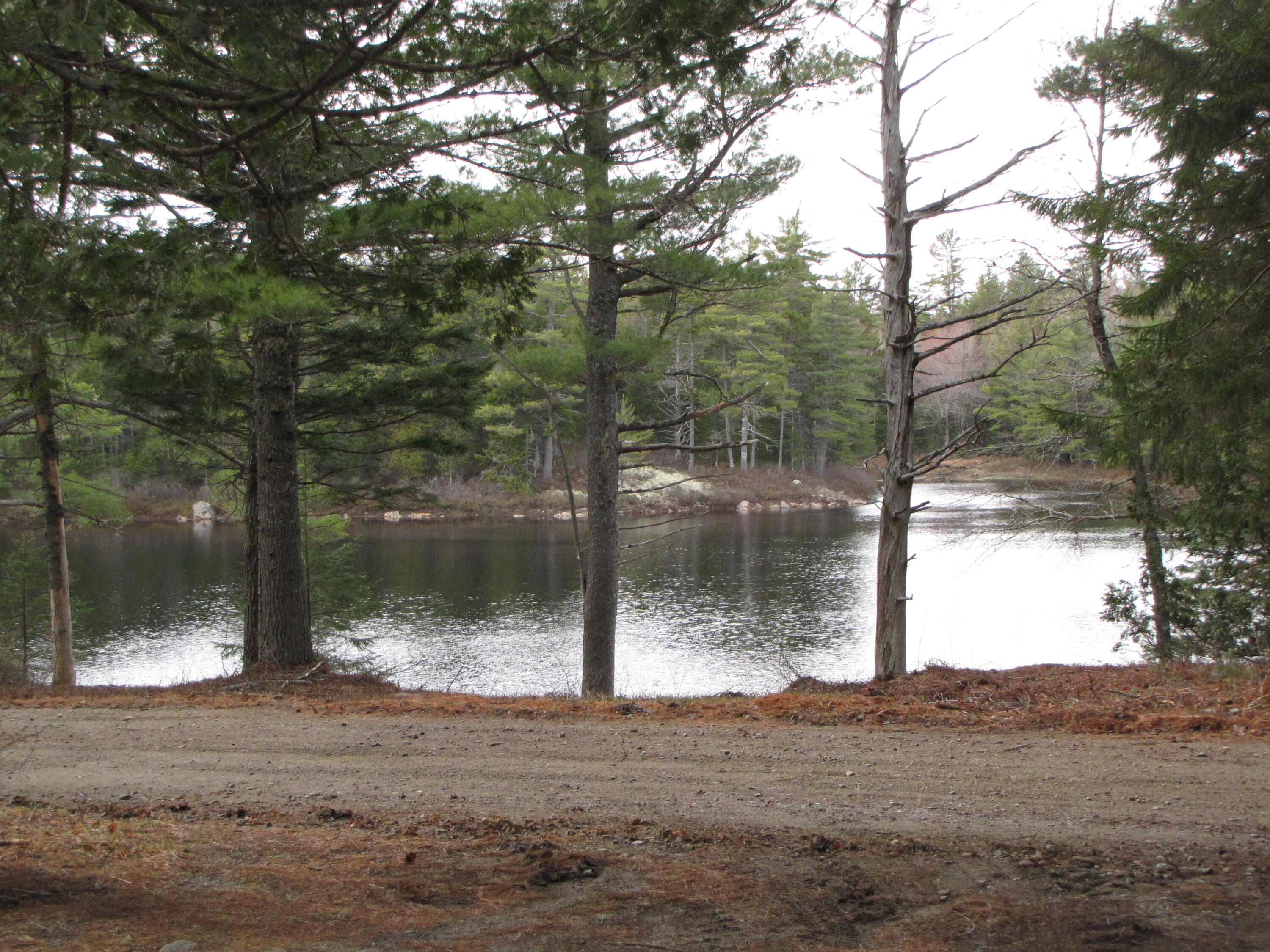 33 Marks Lake Road Machias, ME 04654 - Photo 25 of 37 IMG_1943