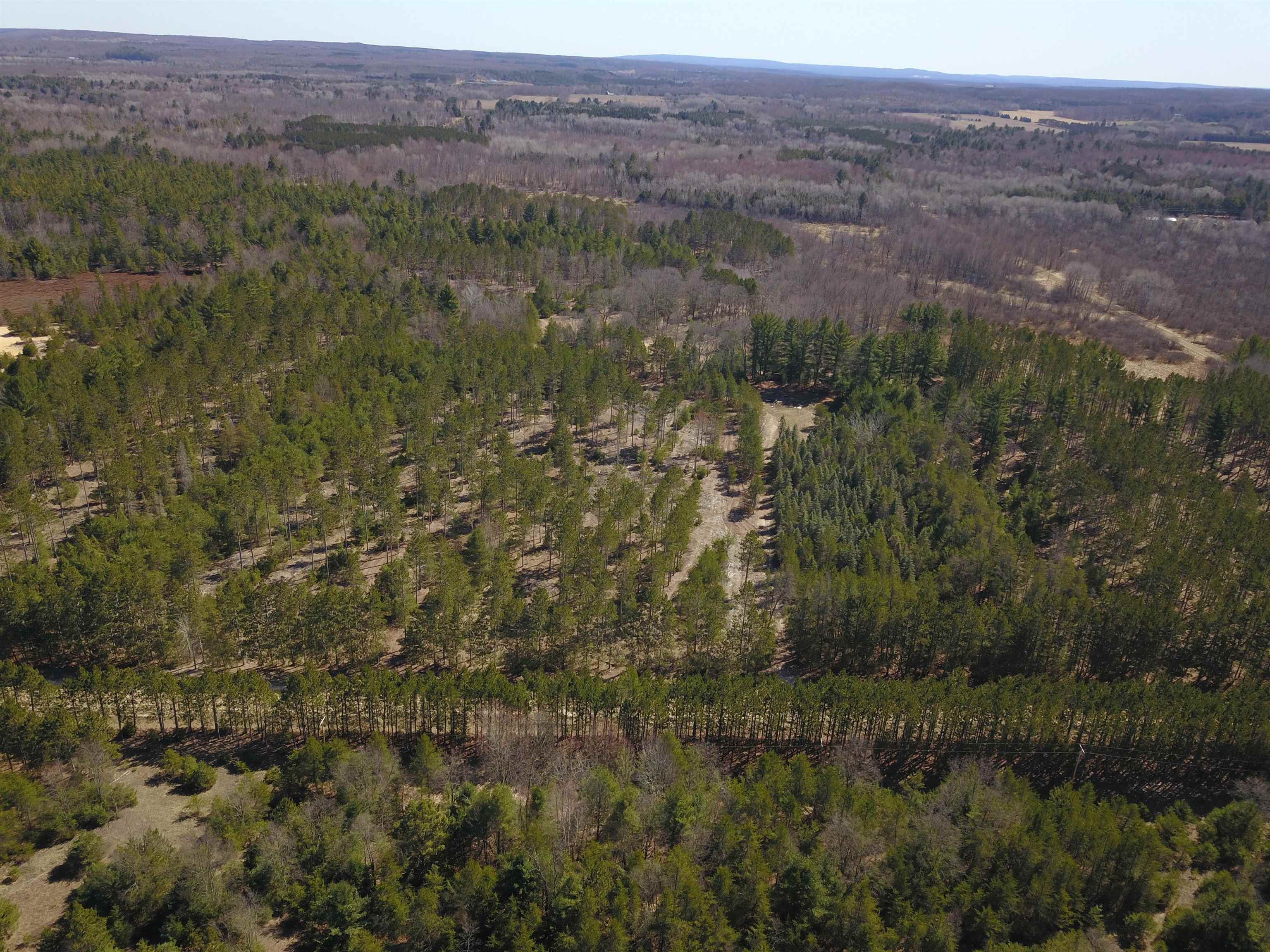 10-acres Niemi Road Kaleva, MI 49645 - Photo 1 of 24