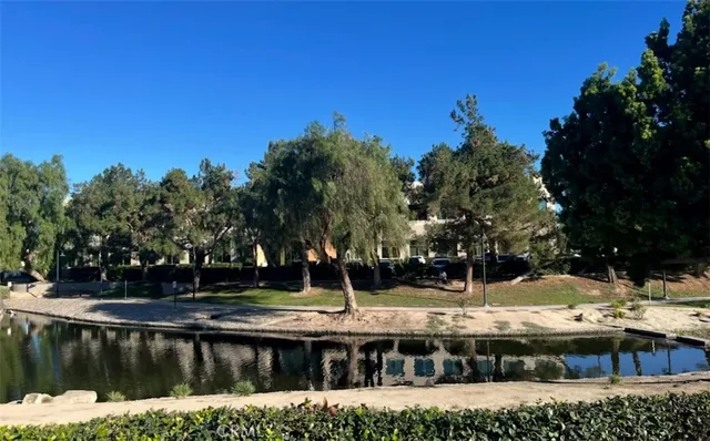 a view of a yard with plants and trees
