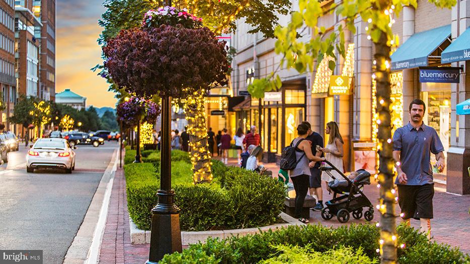 1675 Bandit Loop, Unit 107B Reston, VA 20190 - Photo 70 of 78