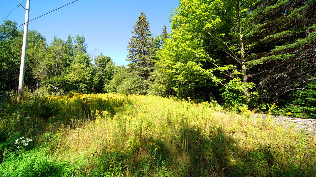 Lot 48 White Road Houlton, ME 04730 - Photo 20 of 27 white-rd-clark-14