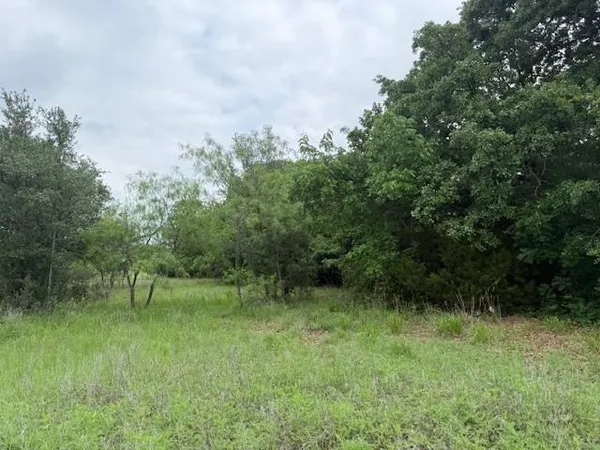 $10,000 | 24170 Stonewood Drive, Whitney, TX 76692