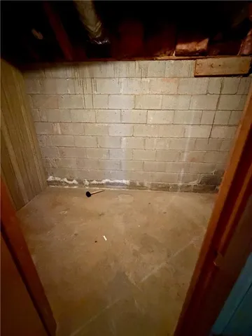 a view of a park with a large tree